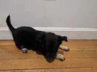 processed/d6c516b6-415d-4236-a52c-2fd5e4466047/listing/9d6e9f87-8ea5-43ff-9105-1371a3571725/549304e5-ef4b-4bac-b8ae-1002cc9a2bee