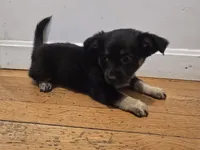 processed/d6c516b6-415d-4236-a52c-2fd5e4466047/listing/9d6e9f87-8ea5-43ff-9105-1371a3571725/6c93f97a-373c-4959-be6f-a4165b91236b