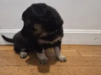 processed/d6c516b6-415d-4236-a52c-2fd5e4466047/listing/9d6e9f87-8ea5-43ff-9105-1371a3571725/9c1f9f20-ca09-4148-9419-4e89fe30bf2a