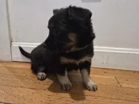 processed/d6c516b6-415d-4236-a52c-2fd5e4466047/listing/9d6e9f87-8ea5-43ff-9105-1371a3571725/a1540d4d-e768-423b-9b4a-f7359978ea60