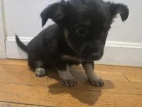 processed/d6c516b6-415d-4236-a52c-2fd5e4466047/listing/9d6e9f87-8ea5-43ff-9105-1371a3571725/d54a33a1-6dbb-4c45-a931-c9d08b4a620f