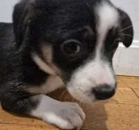 processed/d6c516b6-415d-4236-a52c-2fd5e4466047/listing/b2f53518-ca89-4319-b52e-c5d32b7a2259/0428eb87-7860-4906-9928-16b34ec56563