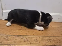 processed/d6c516b6-415d-4236-a52c-2fd5e4466047/listing/b2f53518-ca89-4319-b52e-c5d32b7a2259/2ac9c3f1-6a49-42d0-ad46-6ae4769dfe7a