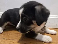 processed/d6c516b6-415d-4236-a52c-2fd5e4466047/listing/b2f53518-ca89-4319-b52e-c5d32b7a2259/5a4c9053-e113-460b-a323-67de21a8cc9f