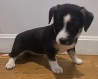 processed/d6c516b6-415d-4236-a52c-2fd5e4466047/listing/b2f53518-ca89-4319-b52e-c5d32b7a2259/80cc6a6d-2aae-47d9-a3f2-91219d480138