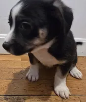 processed/d6c516b6-415d-4236-a52c-2fd5e4466047/listing/b2f53518-ca89-4319-b52e-c5d32b7a2259/88e712a5-5e6a-4bd0-803e-bb1d5efccdec