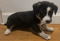 processed/d6c516b6-415d-4236-a52c-2fd5e4466047/listing/b2f53518-ca89-4319-b52e-c5d32b7a2259/a92842fd-3373-4271-a075-f692780ff18a