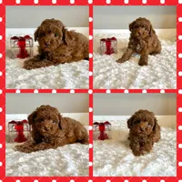 processed/d6ce109f-ac9c-4d33-80b5-5af73680d2de/listing/75611c65-2f25-40fd-885e-12d2df256528/06b19da1-59c5-4f94-acb7-c2e770f65353