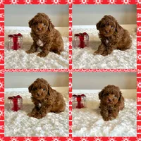 processed/d6ce109f-ac9c-4d33-80b5-5af73680d2de/listing/75611c65-2f25-40fd-885e-12d2df256528/292dc3cb-bf73-4214-a2eb-0d13de5a2f34