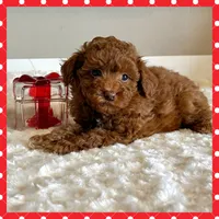 processed/d6ce109f-ac9c-4d33-80b5-5af73680d2de/listing/75611c65-2f25-40fd-885e-12d2df256528/39adccf0-f60a-41c7-b628-9734c592c7ec