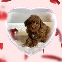 processed/d6ce109f-ac9c-4d33-80b5-5af73680d2de/listing/75611c65-2f25-40fd-885e-12d2df256528/644fc699-4e01-45e5-9a6a-ec98b025cd82