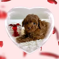 processed/d6ce109f-ac9c-4d33-80b5-5af73680d2de/listing/75611c65-2f25-40fd-885e-12d2df256528/cc87be29-d16b-4c24-bc6f-8619a56bed32