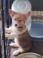 processed/d6ced605-d247-462a-9885-1d7bdcc07ce3/facility/359ec7ea-c1ff-4abd-b699-020f9d73efa9