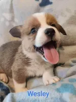 processed/d6ced605-d247-462a-9885-1d7bdcc07ce3/facility/3d96e266-74c8-4fbe-ab7c-8559a534c967