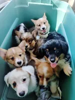 processed/d6ced605-d247-462a-9885-1d7bdcc07ce3/facility/3de75e9b-c173-466a-beb9-3fc4e9ca82b5