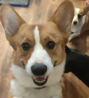 processed/d6ced605-d247-462a-9885-1d7bdcc07ce3/facility/bb2e6b04-83f9-4c38-b6f8-d784b8f737ee