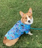 processed/d6ced605-d247-462a-9885-1d7bdcc07ce3/facility/d54858d0-526d-4784-a0ef-b4a9df7859bc