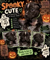Stripe (Green Collar), a male American Bully for sale in Marion, IL – 5 of 10