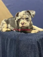 processed/d6ef056e-95fa-4fc6-81f8-f5ba0d720e68/listing/57423c2f-ccf3-4b6f-9a02-836e441d643a/710e611e-dcd3-46ef-9b29-fe861b0eff1d