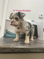 processed/d6ef056e-95fa-4fc6-81f8-f5ba0d720e68/listing/57423c2f-ccf3-4b6f-9a02-836e441d643a/cf09e7bc-f377-42b6-814a-881caf5c8dd1