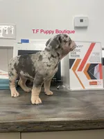 processed/d6ef056e-95fa-4fc6-81f8-f5ba0d720e68/listing/57423c2f-ccf3-4b6f-9a02-836e441d643a/ee1258b8-8428-471f-8a7b-acf644492080