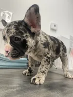 processed/d6ef056e-95fa-4fc6-81f8-f5ba0d720e68/listing/724c3340-8d9d-41d4-9734-9f912f26791c/29244e22-f87e-4e0d-a538-51d2c3fff031