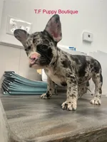 processed/d6ef056e-95fa-4fc6-81f8-f5ba0d720e68/listing/724c3340-8d9d-41d4-9734-9f912f26791c/45a61b91-364c-437f-8d05-0ce15c88af09