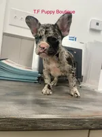 processed/d6ef056e-95fa-4fc6-81f8-f5ba0d720e68/listing/724c3340-8d9d-41d4-9734-9f912f26791c/856dd183-9f85-4c02-8695-ac630123a1c1