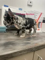 processed/d6ef056e-95fa-4fc6-81f8-f5ba0d720e68/listing/a35b17ba-1cdf-4ee2-b648-9a38b641ee32/06a86dae-e35d-4cbc-a9df-47d60a245a0b