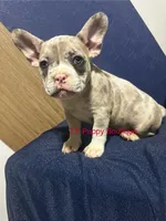 processed/d6ef056e-95fa-4fc6-81f8-f5ba0d720e68/listing/d2c5fcd1-e7e0-440d-94fb-7c76fb0c07cc/f1e80383-bca4-4e11-bc02-c213fe09114e