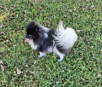 processed/d6faa680-a152-4233-9e25-4d4043eda828/listing/16a89c65-5dbb-482d-ace8-caa2a5d97a3d/23e5c08f-729d-41ef-a69a-0b3e2c83c574