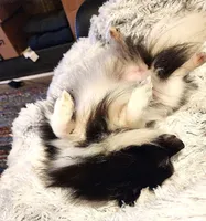 processed/d6faa680-a152-4233-9e25-4d4043eda828/listing/16a89c65-5dbb-482d-ace8-caa2a5d97a3d/4a7ea3c0-4820-4fb3-87b6-a8cc7518b432