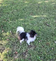 processed/d6faa680-a152-4233-9e25-4d4043eda828/listing/16a89c65-5dbb-482d-ace8-caa2a5d97a3d/7a71799e-3c86-47f8-84b4-fa3acab583a0