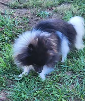 processed/d6faa680-a152-4233-9e25-4d4043eda828/listing/16a89c65-5dbb-482d-ace8-caa2a5d97a3d/9bdba946-bd81-481d-b148-777eae7ca1ec