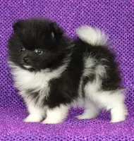 processed/d6faa680-a152-4233-9e25-4d4043eda828/listing/16a89c65-5dbb-482d-ace8-caa2a5d97a3d/f404a4a3-4aa6-4505-a43d-819d12bb854a