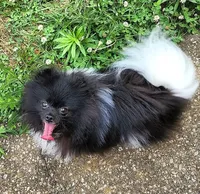 processed/d6faa680-a152-4233-9e25-4d4043eda828/listing/16a89c65-5dbb-482d-ace8-caa2a5d97a3d/f7c5f2e5-ef42-4df2-9d84-de3a2afef928