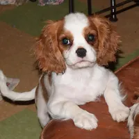 processed/d70133c6-d8c4-4d6e-8bd3-6d85e4a09028/facility/b0ec3c4d-d89c-4ed1-ad0f-41256d6197e3