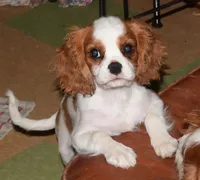 processed/d70133c6-d8c4-4d6e-8bd3-6d85e4a09028/facility/b0ec3c4d-d89c-4ed1-ad0f-41256d6197e3