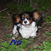 processed/d70133c6-d8c4-4d6e-8bd3-6d85e4a09028/facility/c4002753-0858-45f5-a99f-009de9f8cfe5