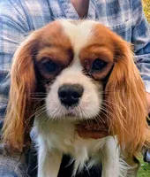 processed/d70133c6-d8c4-4d6e-8bd3-6d85e4a09028/listing/31644ef0-2c44-4e23-bfb0-0b16152c86f3/187f98a0-4c16-4693-a269-ae492e4d8e67