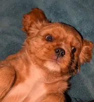 processed/d70133c6-d8c4-4d6e-8bd3-6d85e4a09028/listing/56783353-10ef-46e1-b816-6066b2f98800/5d0e1ad3-9570-44d0-a73c-03ec98d2494d