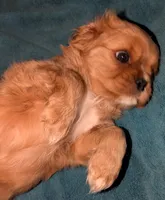 processed/d70133c6-d8c4-4d6e-8bd3-6d85e4a09028/listing/56783353-10ef-46e1-b816-6066b2f98800/e0aeb6e1-c597-405f-bf28-069fc4fc93a6