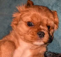 processed/d70133c6-d8c4-4d6e-8bd3-6d85e4a09028/listing/56783353-10ef-46e1-b816-6066b2f98800/efcd7915-f544-45a4-be5c-e0de7d27c816