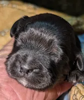 processed/d70133c6-d8c4-4d6e-8bd3-6d85e4a09028/listing/d742ba64-fc04-4fc6-893b-41f781e2b42f/4b1a5918-beb3-49d2-8b77-60c340b6da91