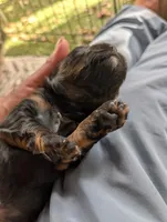 processed/d70133c6-d8c4-4d6e-8bd3-6d85e4a09028/listing/d742ba64-fc04-4fc6-893b-41f781e2b42f/823dec31-ac00-4b54-8635-d9379c358403