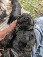 processed/d70133c6-d8c4-4d6e-8bd3-6d85e4a09028/listing/d742ba64-fc04-4fc6-893b-41f781e2b42f/86d97d9e-307a-4037-9bbf-df584d1b81ae