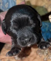 processed/d70133c6-d8c4-4d6e-8bd3-6d85e4a09028/listing/d742ba64-fc04-4fc6-893b-41f781e2b42f/96a8d248-6eea-40ae-be45-afb8686ae431