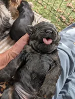 processed/d70133c6-d8c4-4d6e-8bd3-6d85e4a09028/listing/d742ba64-fc04-4fc6-893b-41f781e2b42f/f9c52a06-4936-4011-8122-522a750b85ea