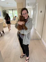 Bailey, a female Miniature Goldendoodle for sale in Boca Raton, FL – Photo 3 of 4