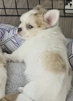 processed/d7071514-71dd-470a-b544-25c036bab607/listing/10129cb9-3654-4dce-9636-a5ea00ec66a8/39c61872-f818-4d89-8ed6-47a96de14692